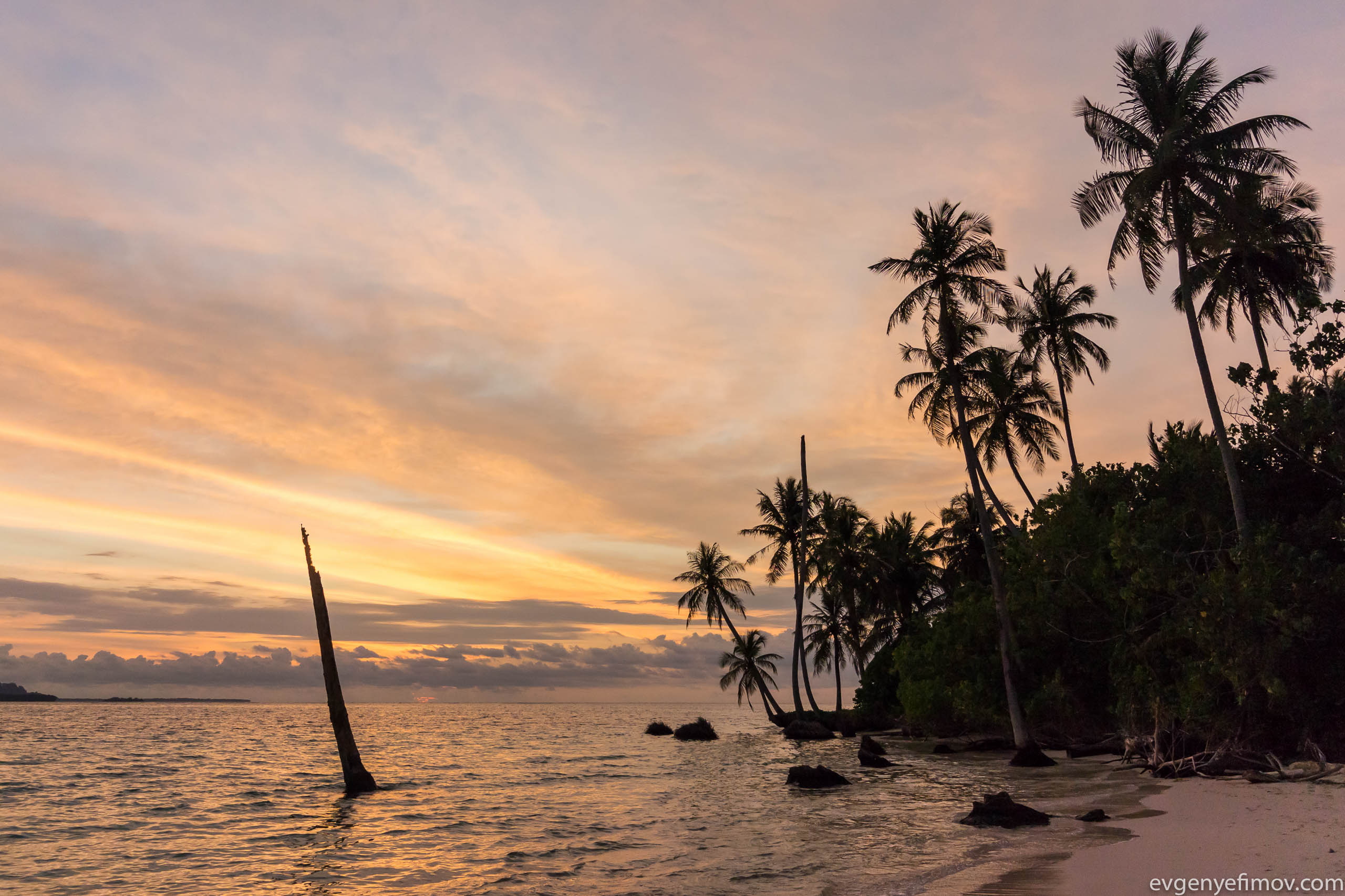 Pulau maleo baby