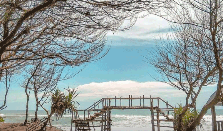 Pantai Cemara Sewu Bantul