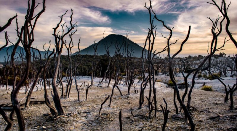 Daya Tarik Gunung Papandayan