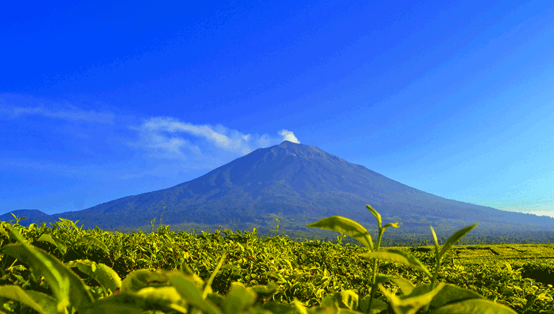 Kupas Misteri Gunung Kerinci Indonesia