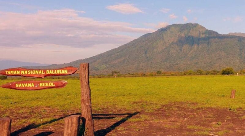 Keindahan Alam Gunung Baluran