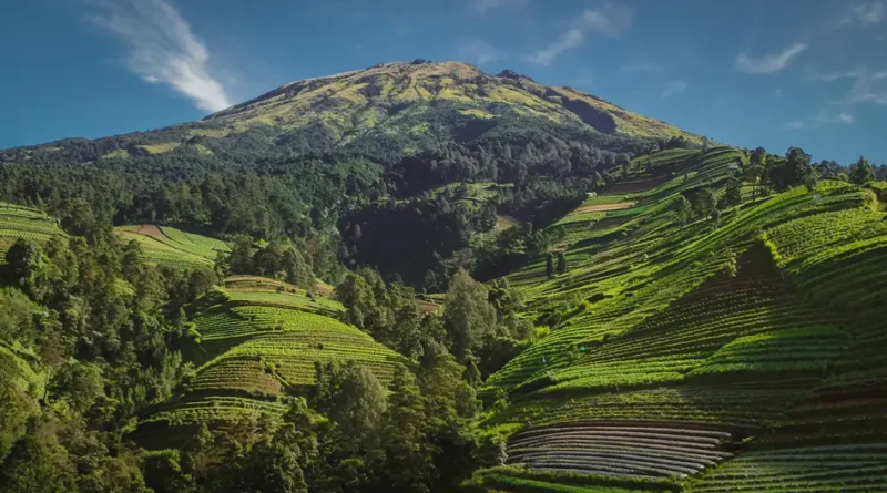 Gunung Sumbing Menantang dan Mempesona