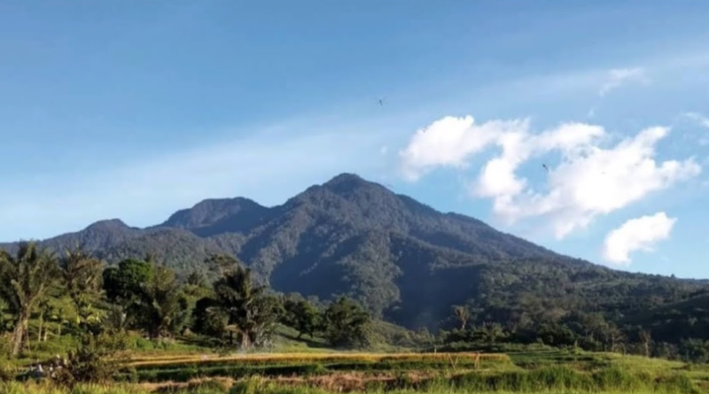 Keindahan Alam yang Memukau Gunung Sago